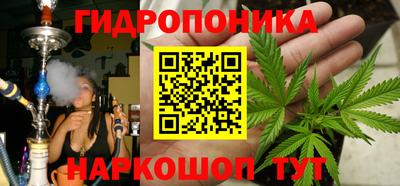 винт Будённовск