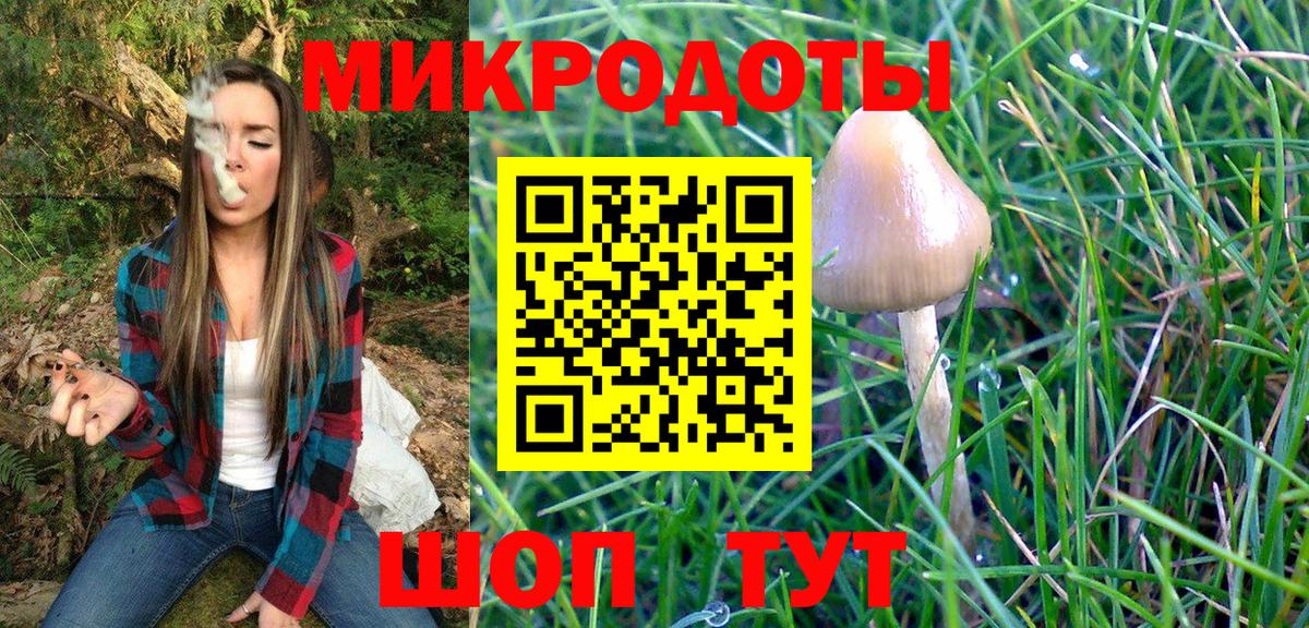 Галлюциногенные грибы прущие грибы  Вход с VPN  Видное 
