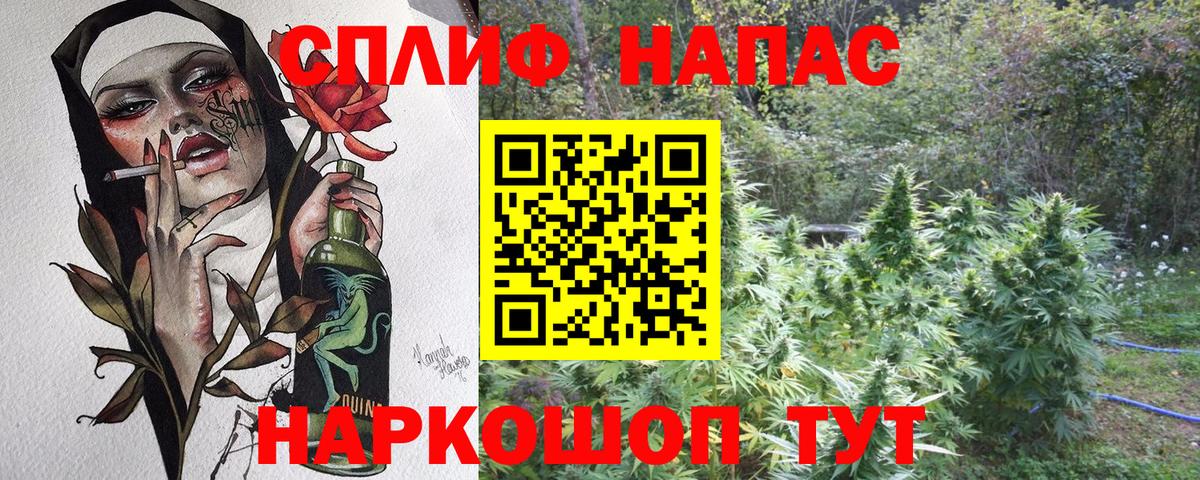 Конопля White Widow  Вход с VPN  Шишки марихуана тримм  Шишки марихуана Ganja  Видное 